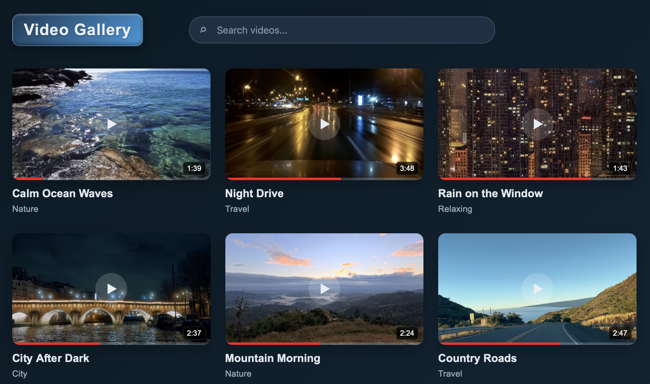 Video Gallery project preview